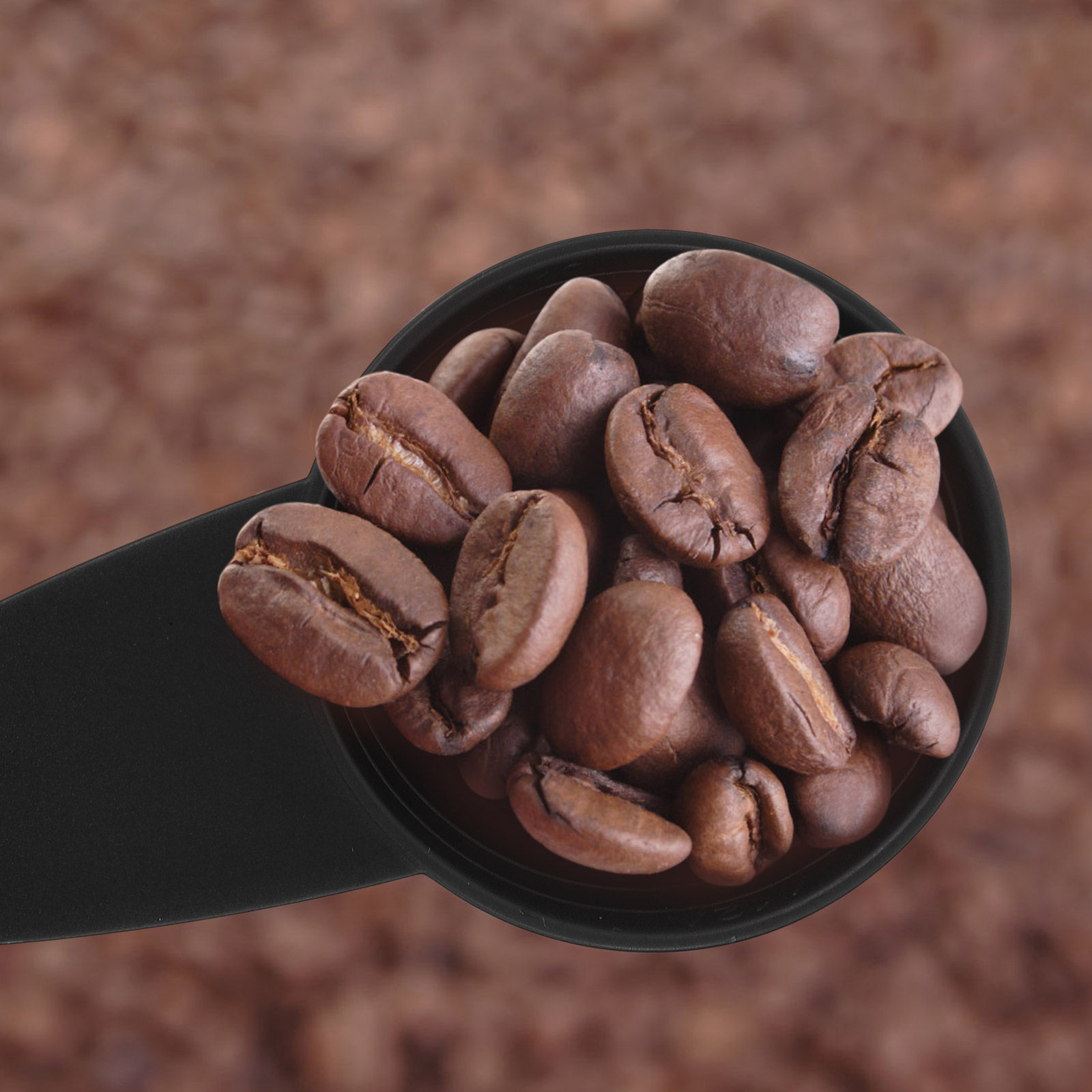 5 個の計量スプーンロングハンドルコーヒー豆スクープポリッシ - Coffee Tea Spoon のレビューと価格